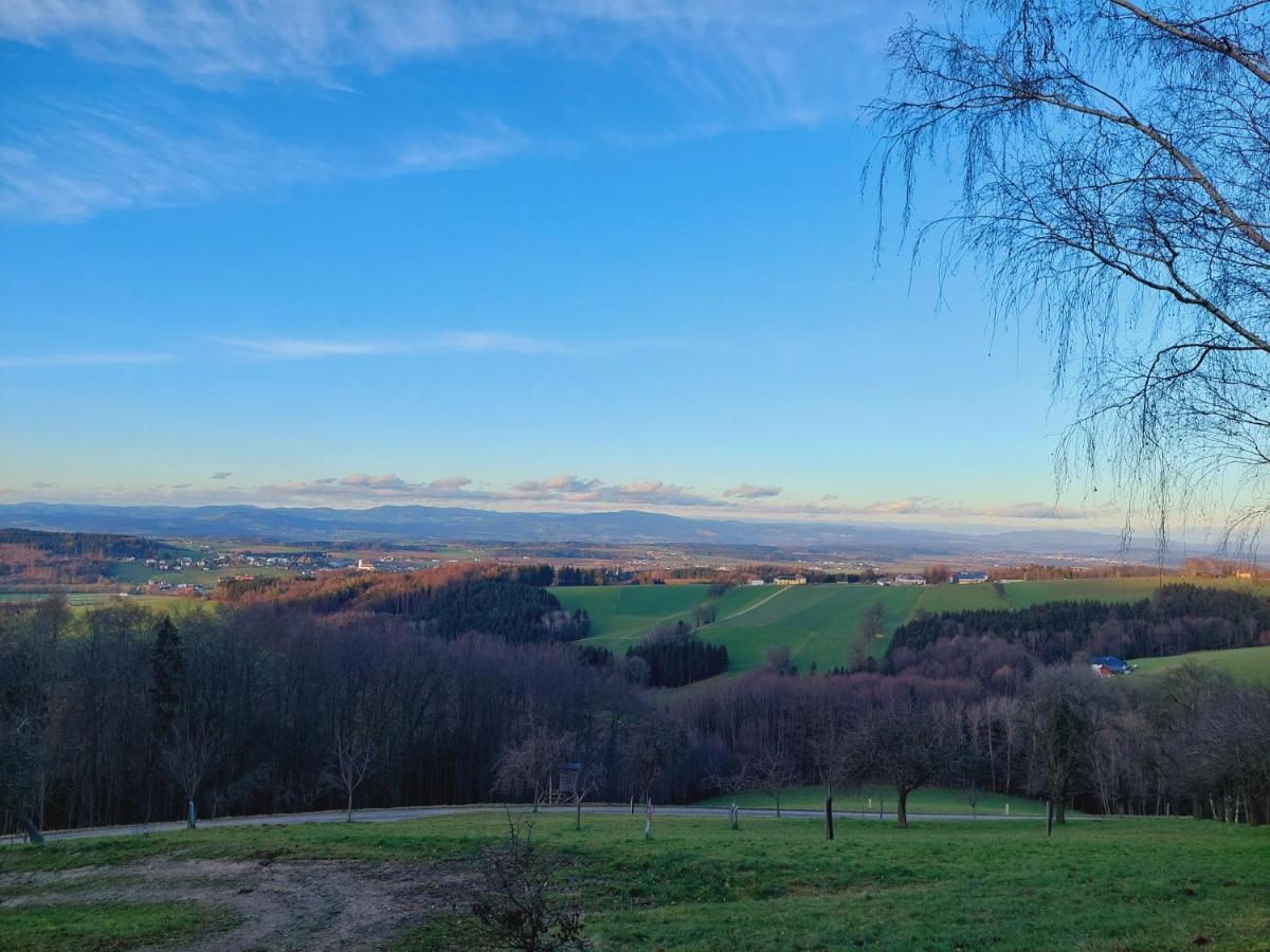 Ferienwohnung Lucy Am Lonitzberg Steinakirchen Am Forst Exteriér fotografie